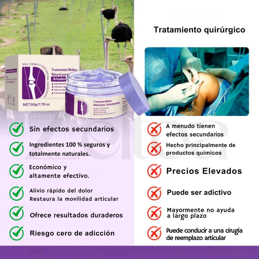 ArtiMax™ | Desbloquea Tu Poder Físico