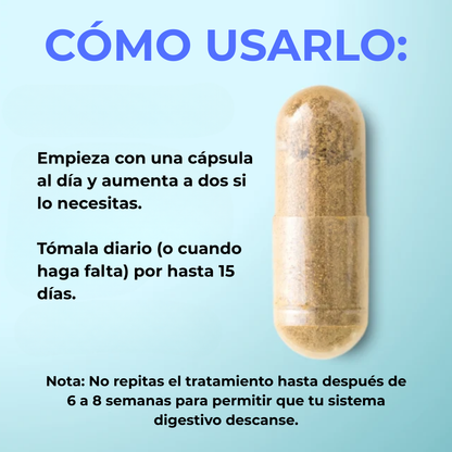 Detoxía™ | Tu Reset Digestivo en 15 Días