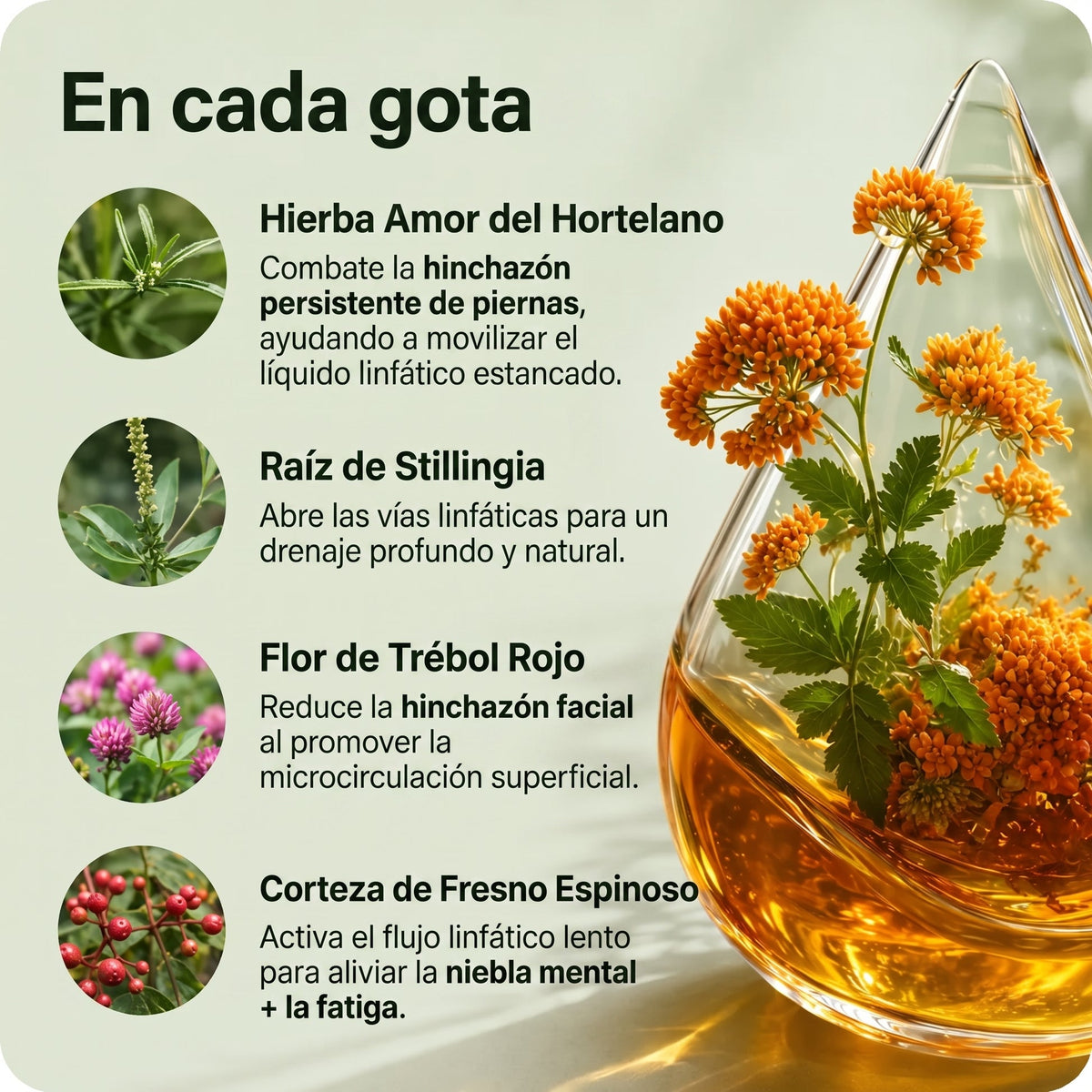 Drenaje Linfático Zeltoa — Gotas Naturales