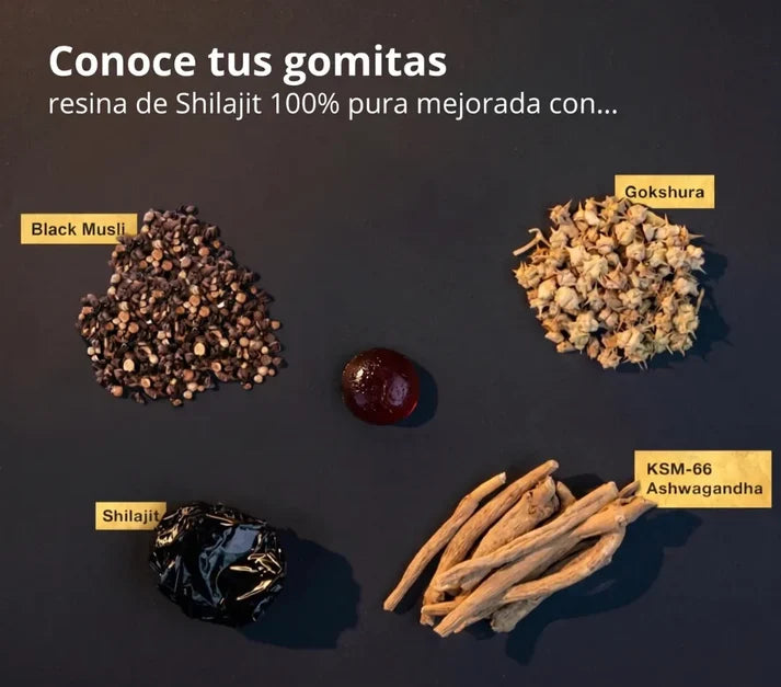 Eleveit Gold Gomitas de Shilajit Puro del Himalaya: