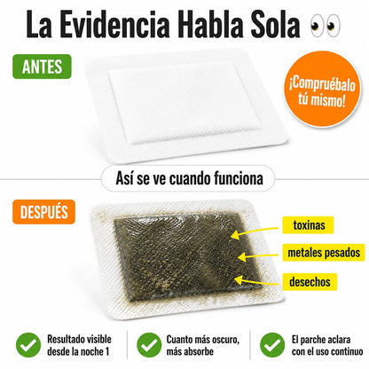 Parches Detox Kinoki | Desintoxica Tu Cuerpo Mientras Duermes