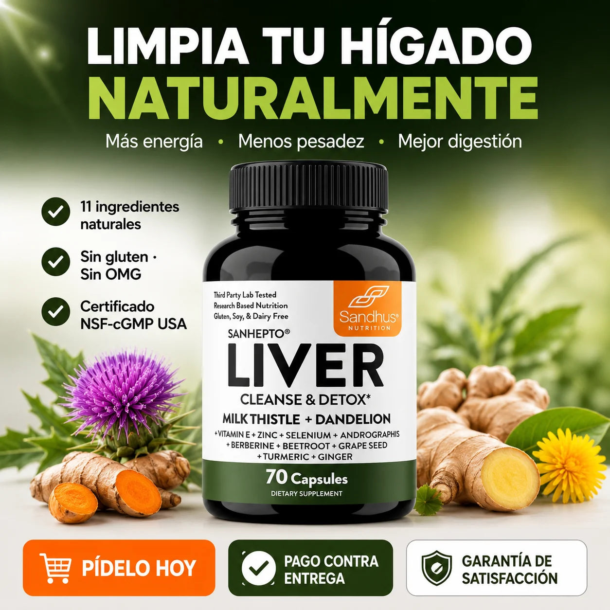 LIVER - Limpia y Protege Tu Hígado | Más Energía Desde el Primer Mes
